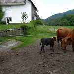 بيت ضيافة Haus Zur Orke *