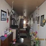 Haus Zur Orke بيت ضيافة