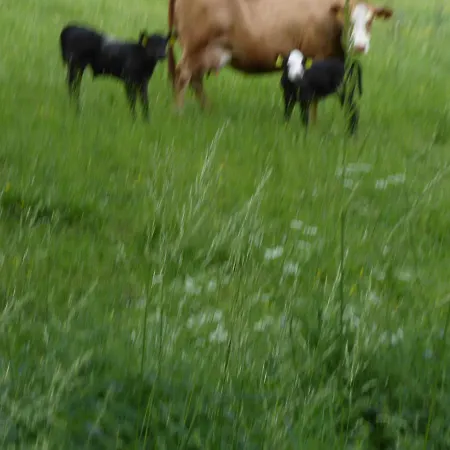 Haus Zur Orke בית הארחה ווינטרברג