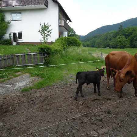 בית הארחה Haus Zur Orke *