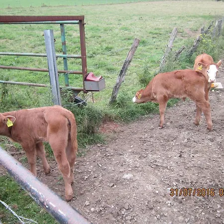 Haus Zur Orke * ווינטרברג