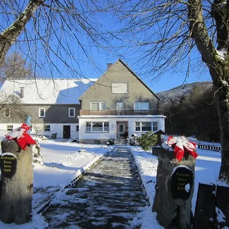 בית הארחה Haus Zur Orke ווינטרברג