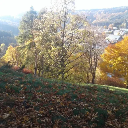 Haus Zur Orke * ווינטרברג