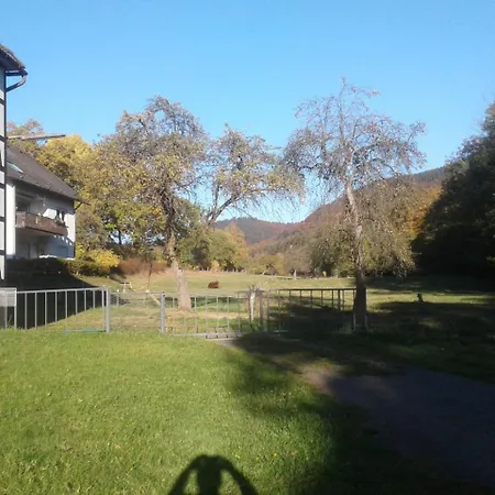 Haus Zur Orke * Winterberg