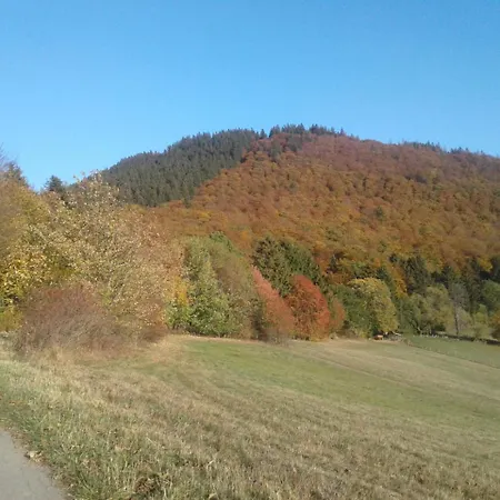Haus Zur Orke Guest house Winterberg