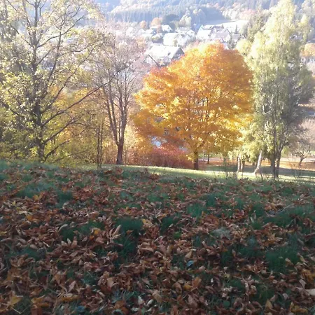 בית הארחה Haus Zur Orke ווינטרברג