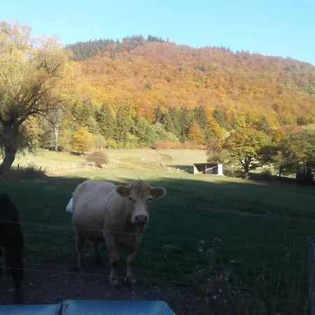 Haus Zur Orke Guest house