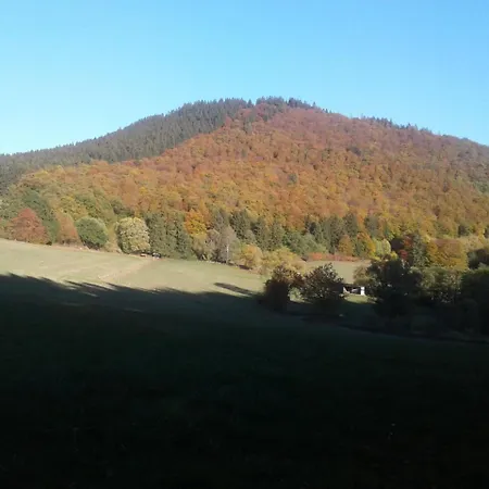 Haus Zur Orke Guest house