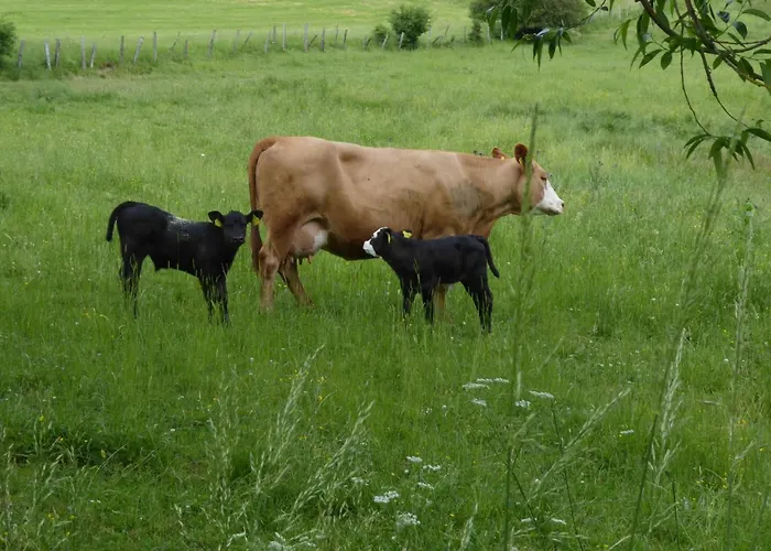 Haus Zur Orke Konukevi