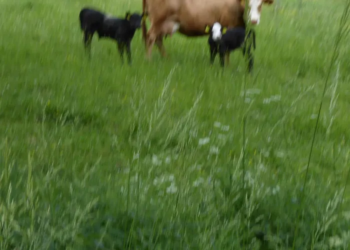 Haus Zur Orke Konukevi Winterberg