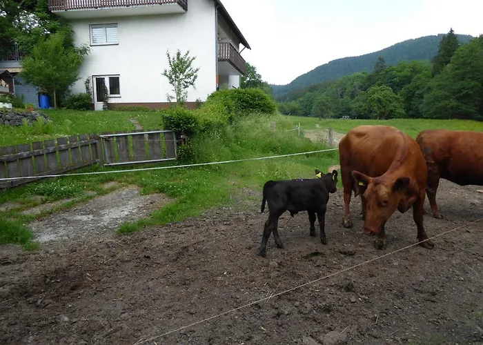 Konukevi Haus Zur Orke *