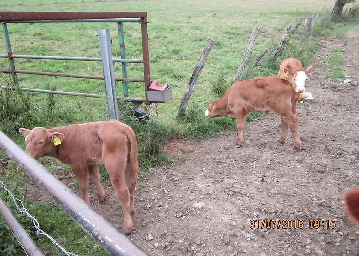 Haus Zur Orke * Winterberg