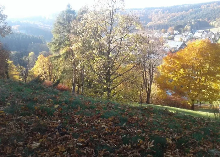 Haus Zur Orke * Winterberg