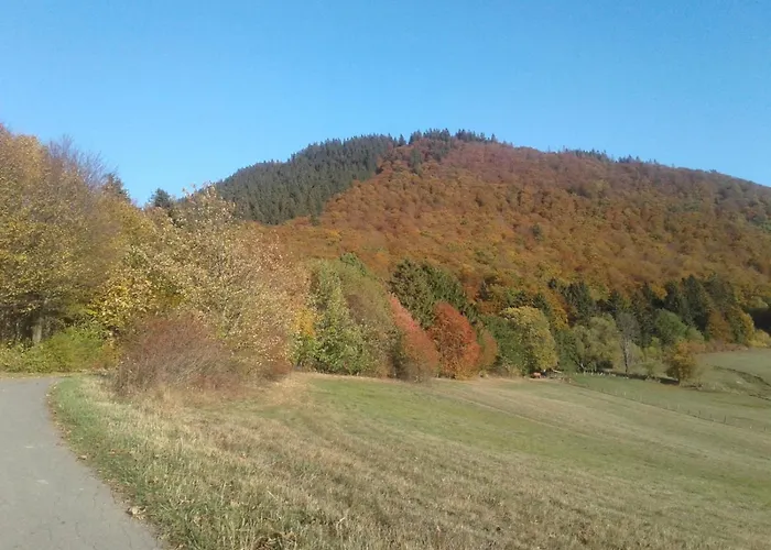 Haus Zur Orke Maison d'hôtes Winterberg