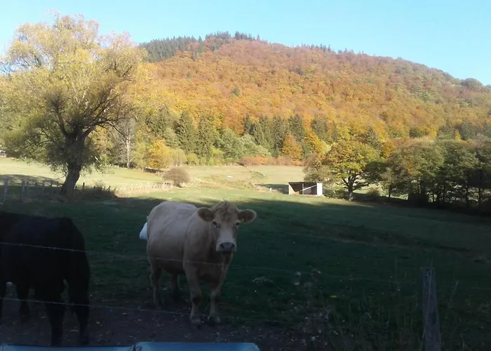 Haus Zur Orke Guest house